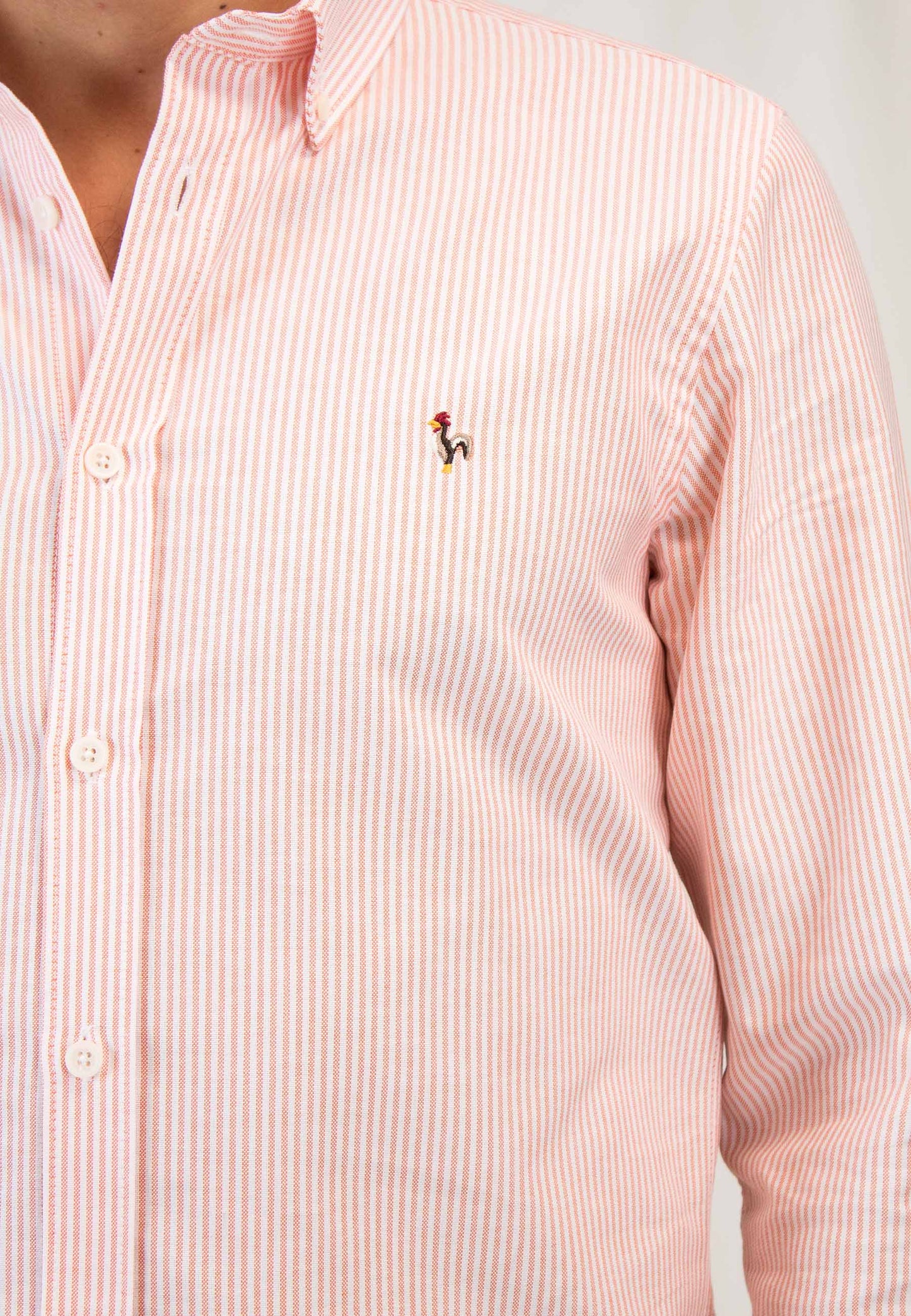 Oxford shirt with orange stripes "Camisa Luna oxford de rayas naranja"