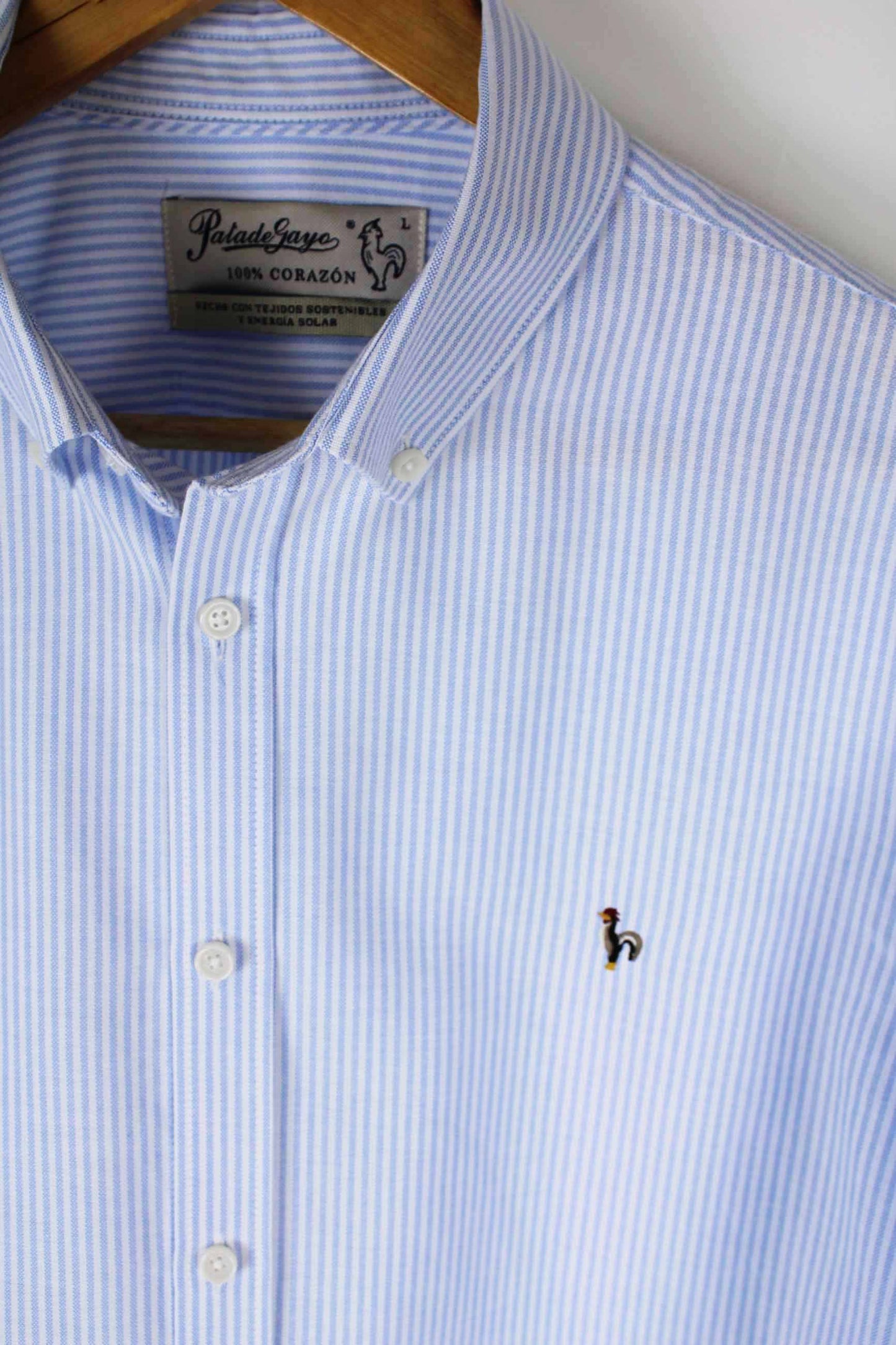 Men's oxford shirt with blue stripes - a classic that always works "Camisa oxford de rayas luna celeste"