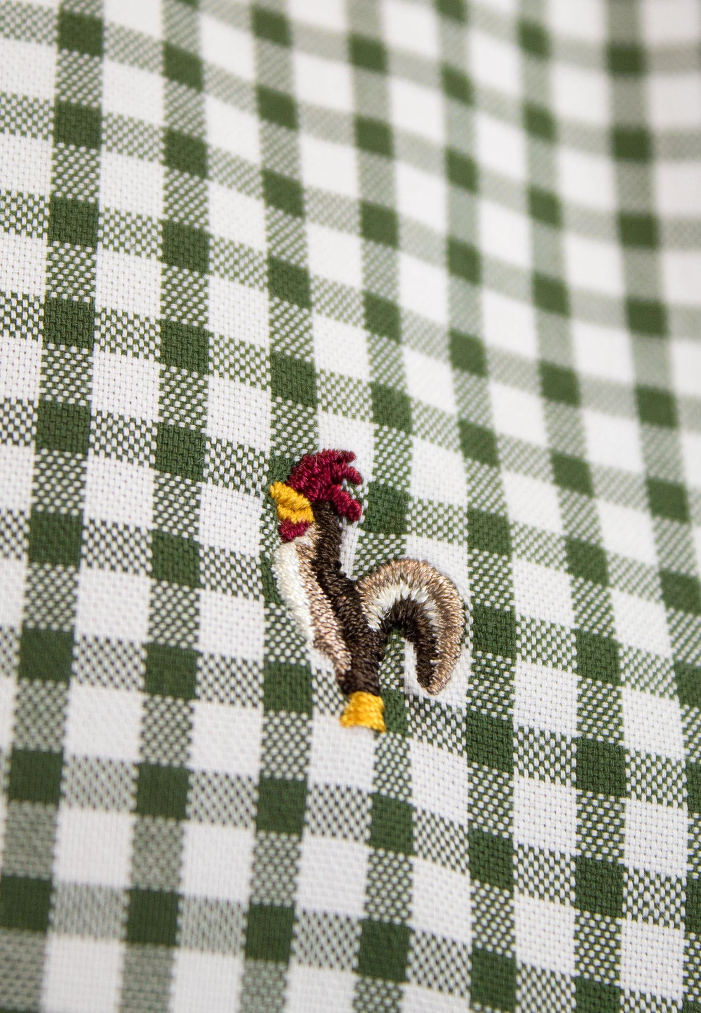 Green vichy checkered shirt "Camisa de cuadros vichy verde"