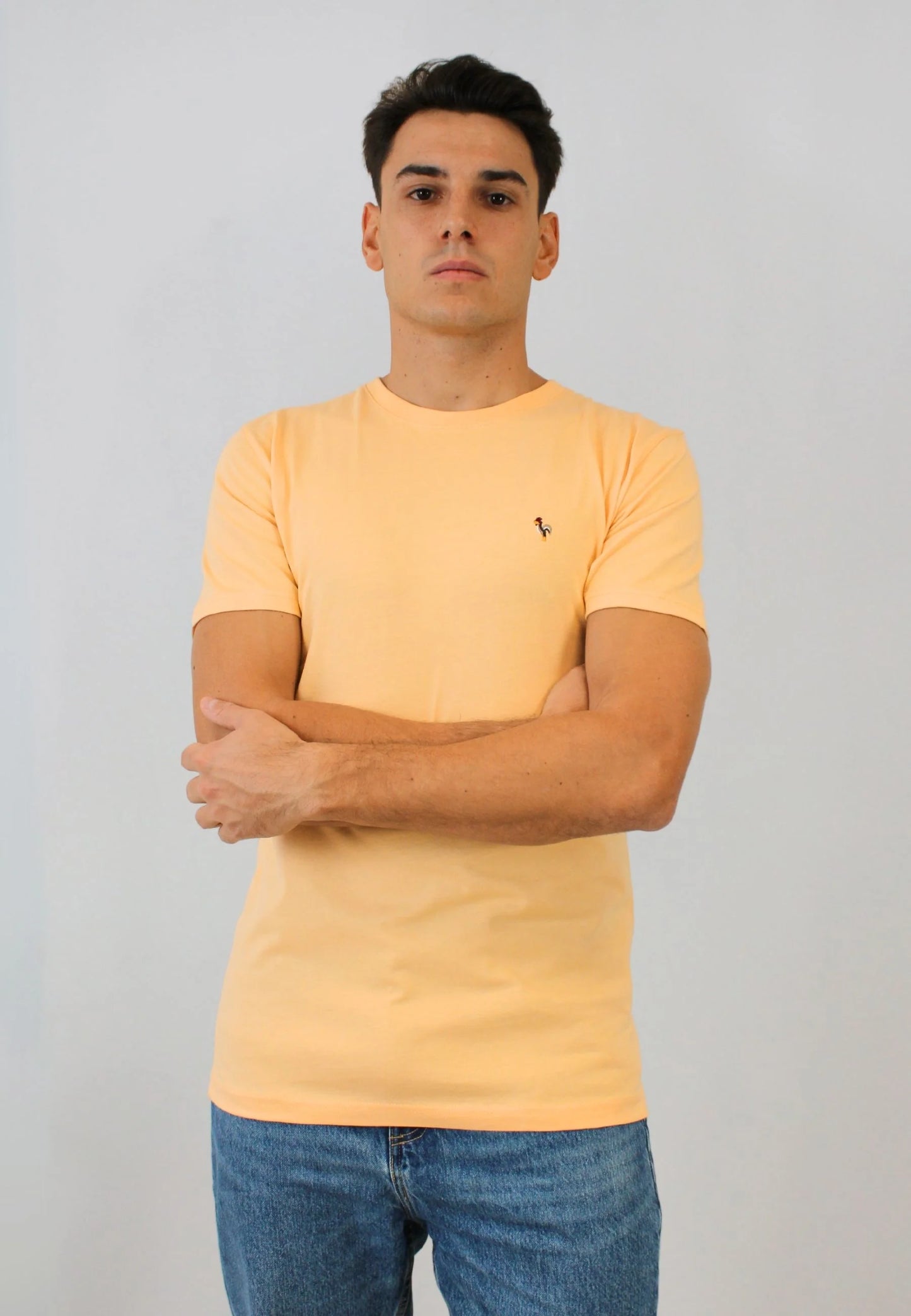 Yellow short-sleeved T-shirt. "Camiseta robin amarillo"