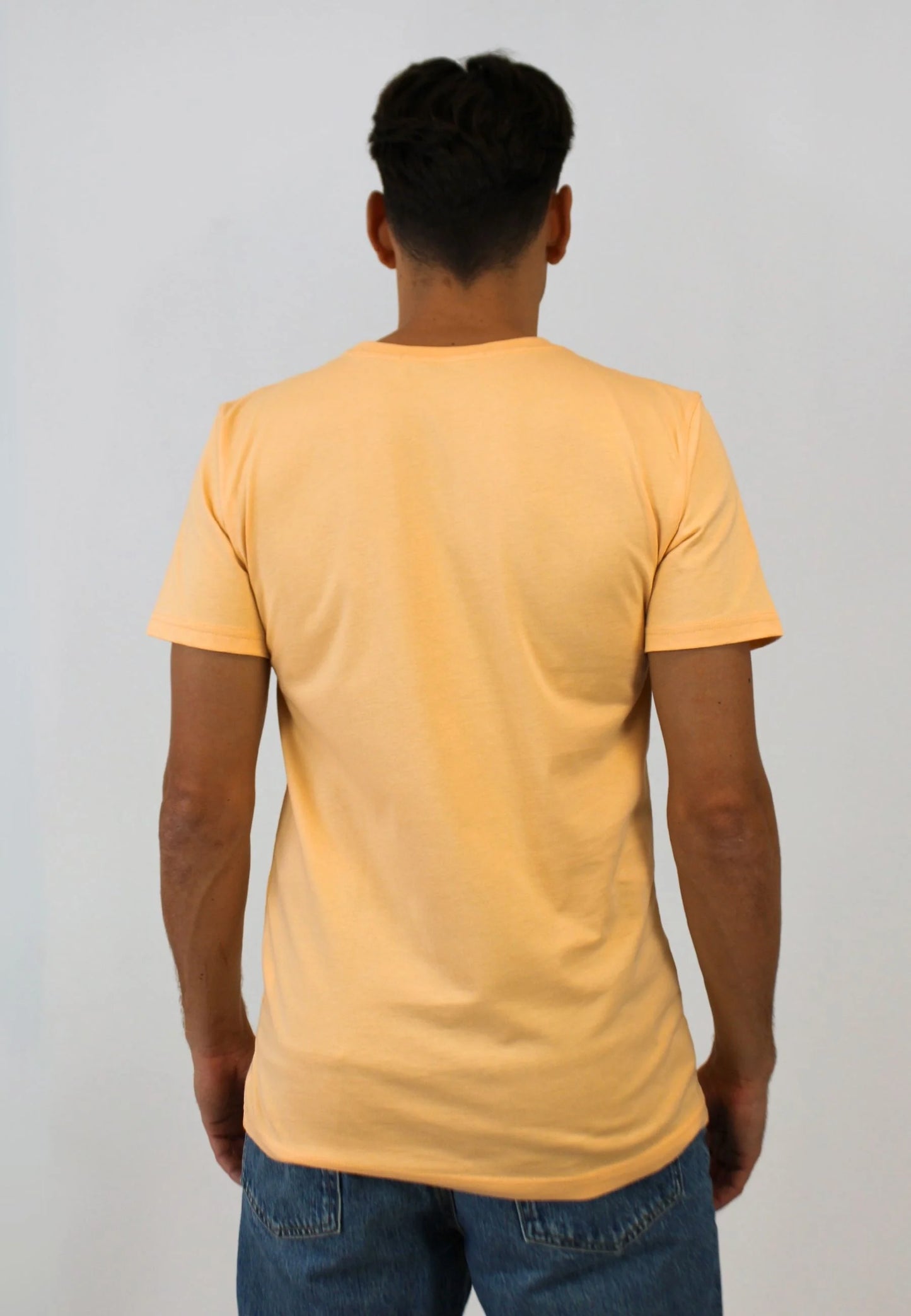Yellow short-sleeved T-shirt. "Camiseta robin amarillo"
