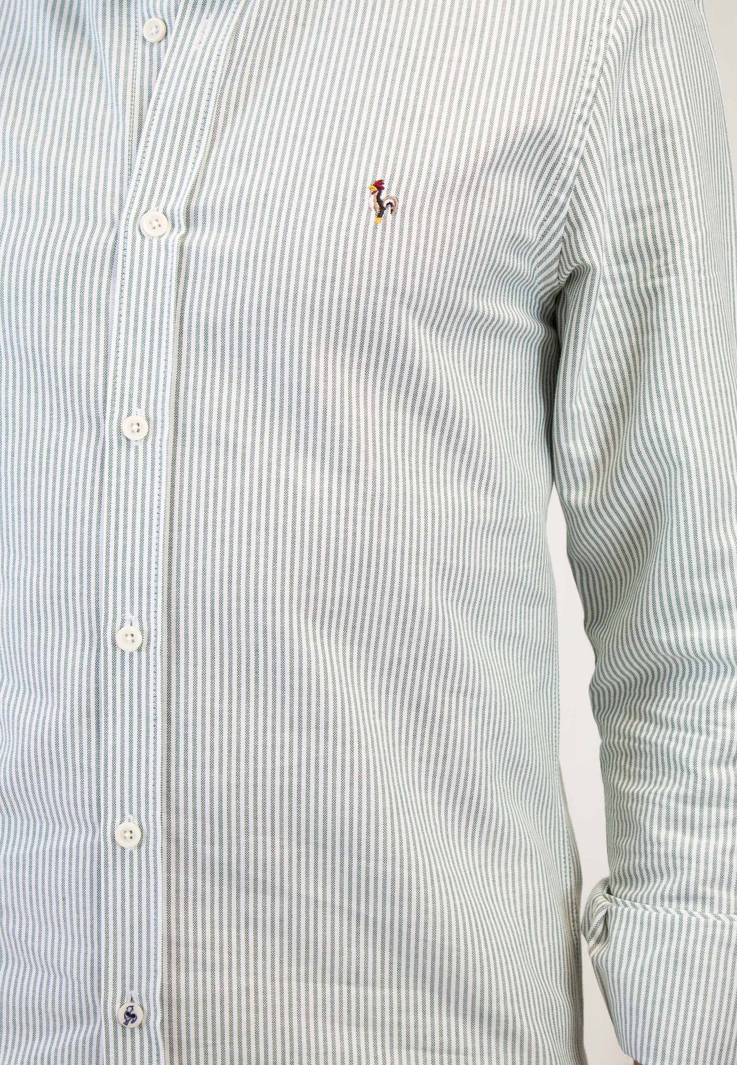 Oxford shirt with dark green stripes "Camisa oxford de rayas verde oscuro"
