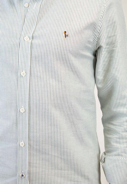 Oxford shirt with dark green stripes "Camisa oxford de rayas verde oscuro"