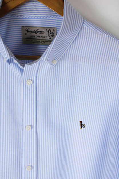 Men's oxford shirt with blue stripes - a classic that always works "Camisa oxford de rayas luna celeste"