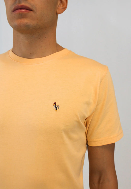 Yellow short-sleeved T-shirt. "Camiseta robin amarillo"
