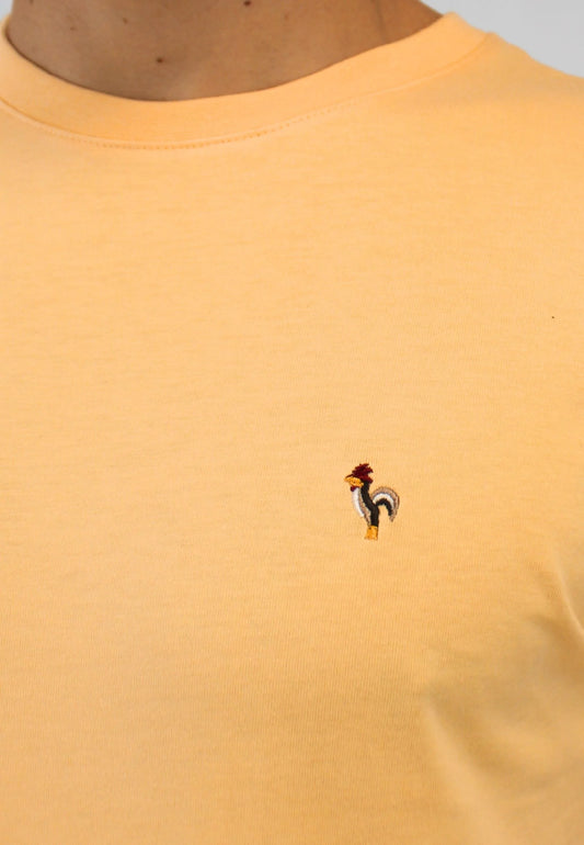 Yellow short-sleeved T-shirt. "Camiseta robin amarillo"